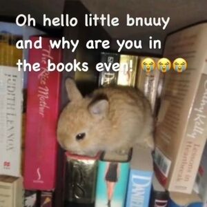 Meet your Posher, fiona 🦇